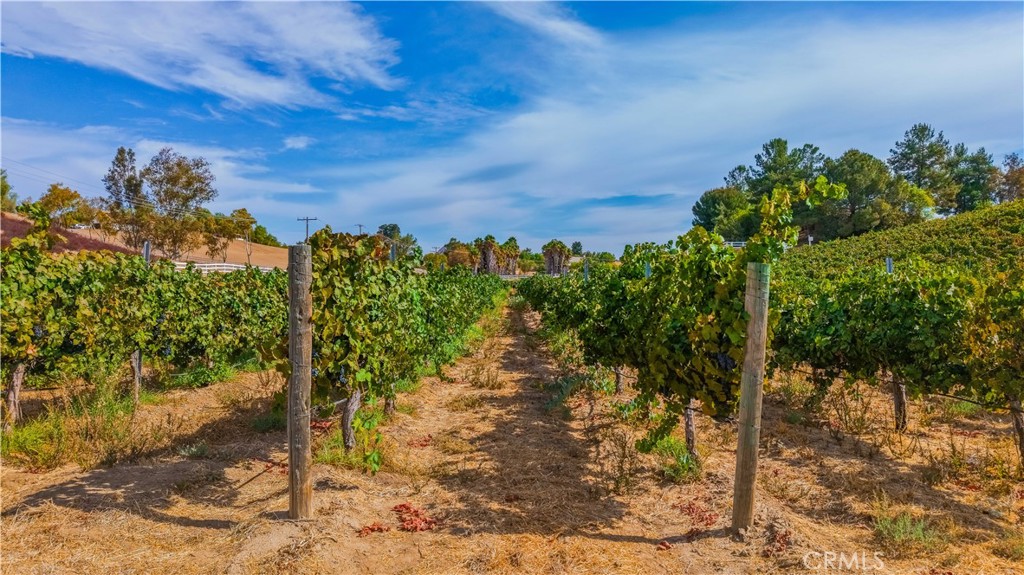 0 Monte De Oro Property Photo 8
