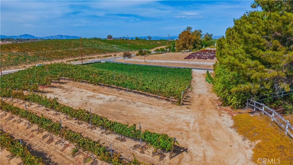 0 Monte De Oro Property Photo 9