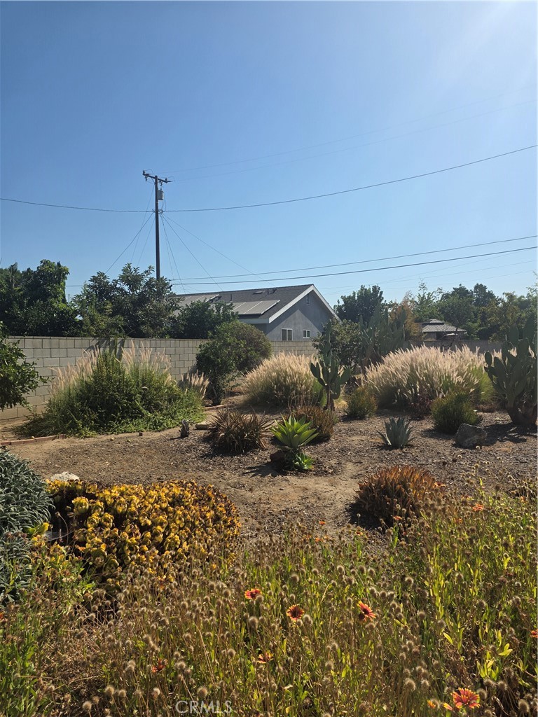 1346 Ballista Avenue Property Photo 27