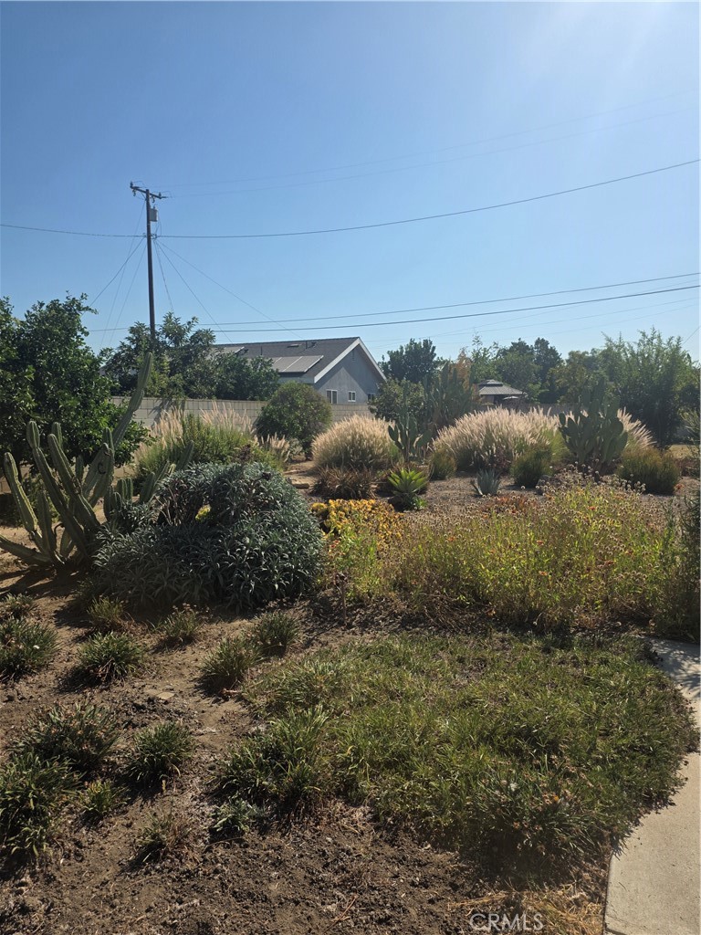 1346 Ballista Avenue Property Photo 29