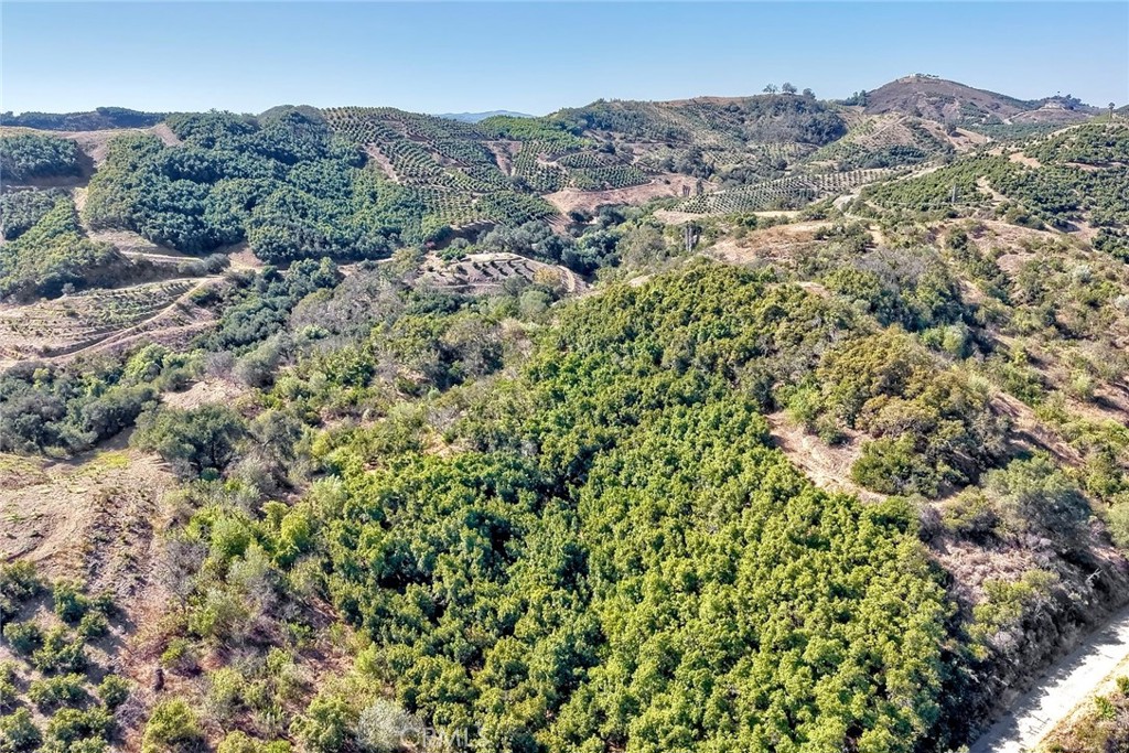 0 Via De Los Robles Property Photo 5