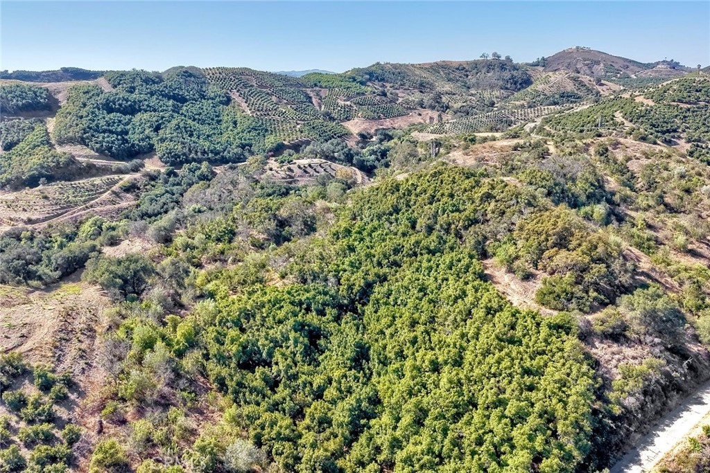 2 Via De Los Robles Property Photo 1