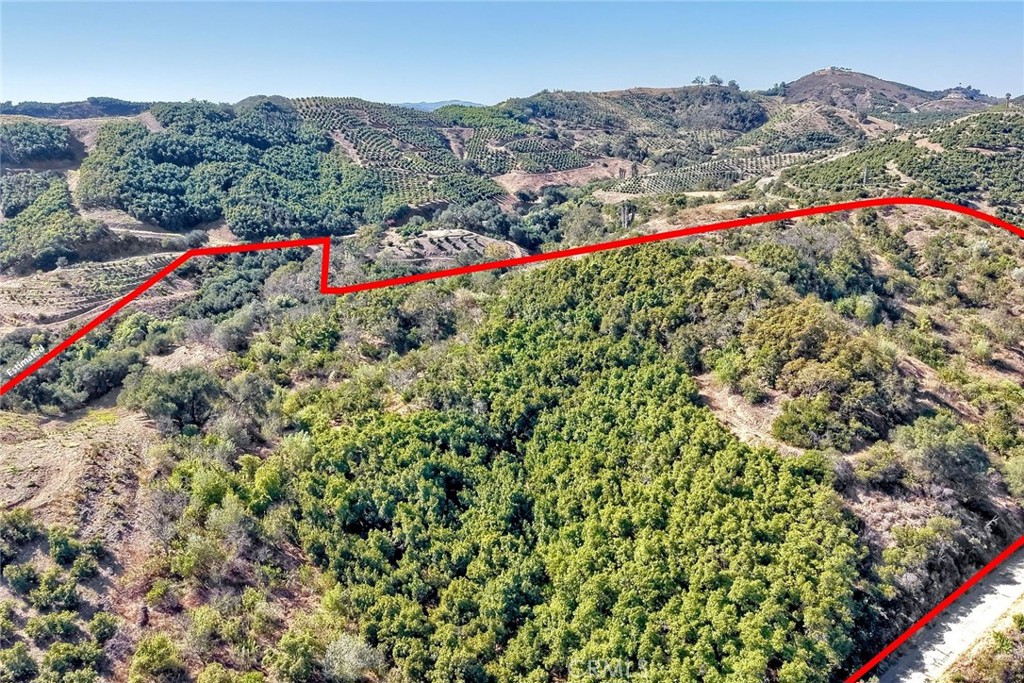 0 Via Vaquero Property Photo 4