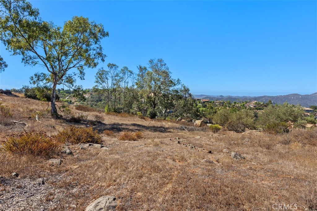 0 Meadow Mesa Dr. Property Photo 13
