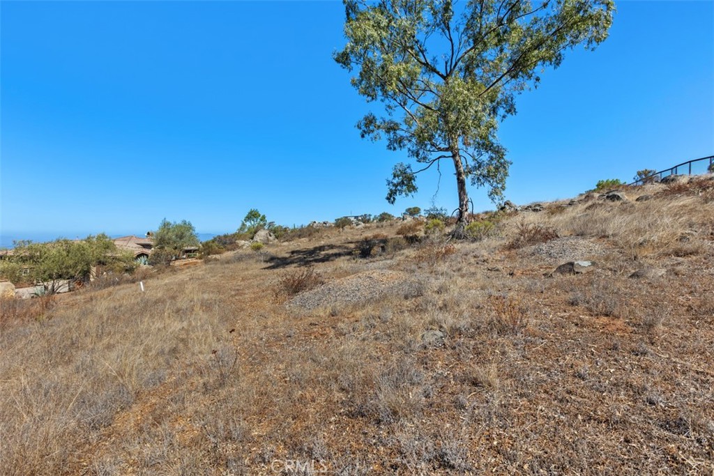 0 Meadow Mesa Dr. Property Photo 21