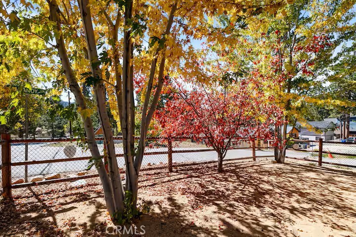 40272 Mahanoy Lane Property Photo 14
