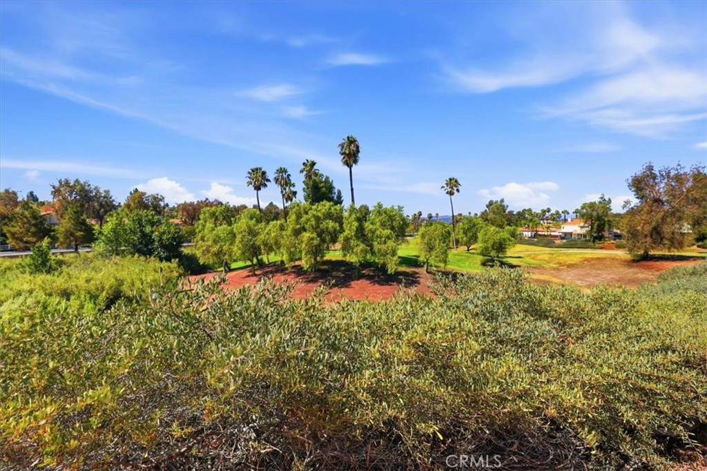 42145 Delmonte Property Photo 42