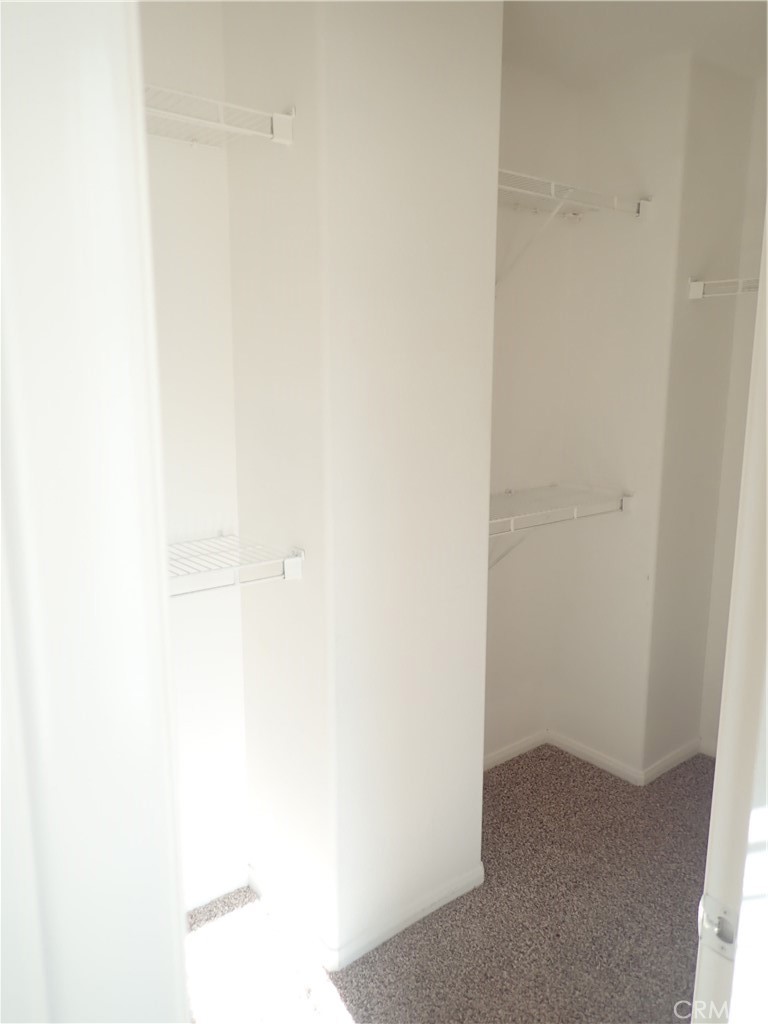 27605 Chicory Property Photo 18