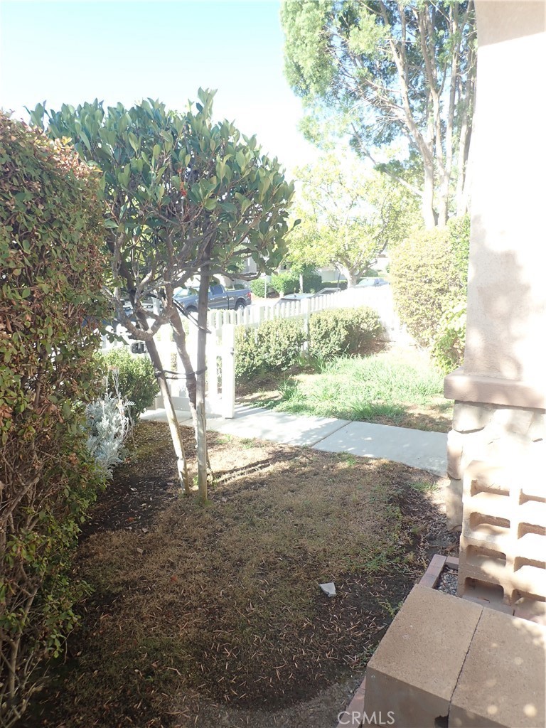 27605 Chicory Property Photo 36