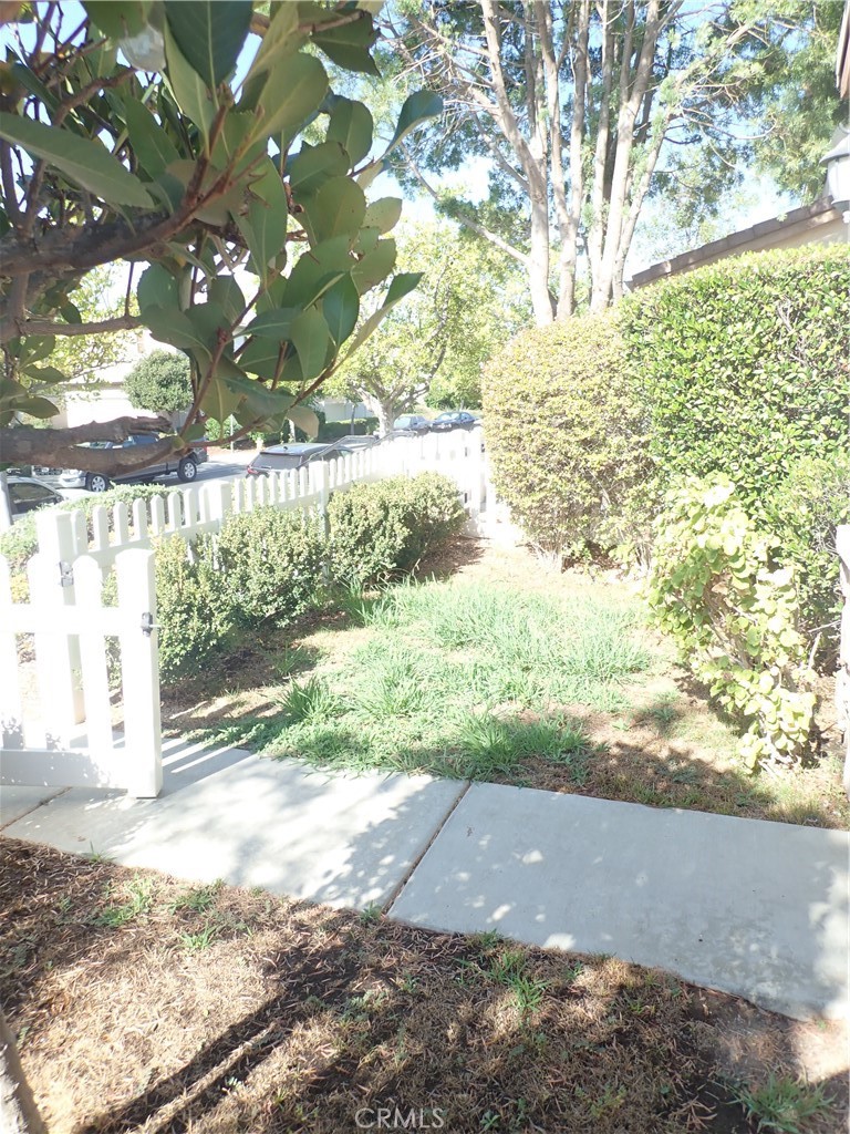 27605 Chicory Property Photo 37