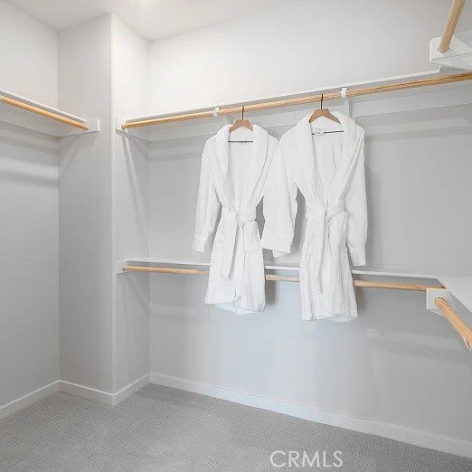 3216 Sprout Paseo Property Photo 15