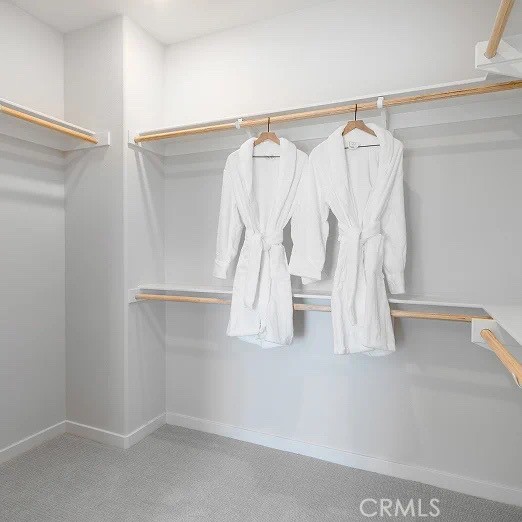 3216 Sprout Paseo Property Photo 15