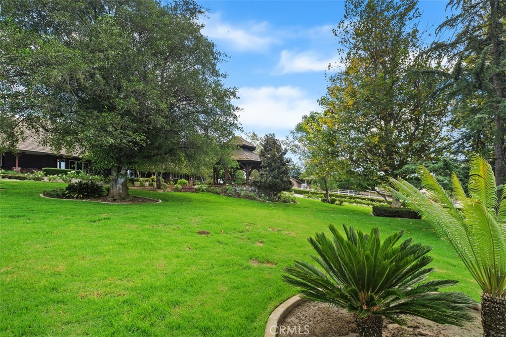 27777 Sycamore Mesa Rd. Property Photo 63