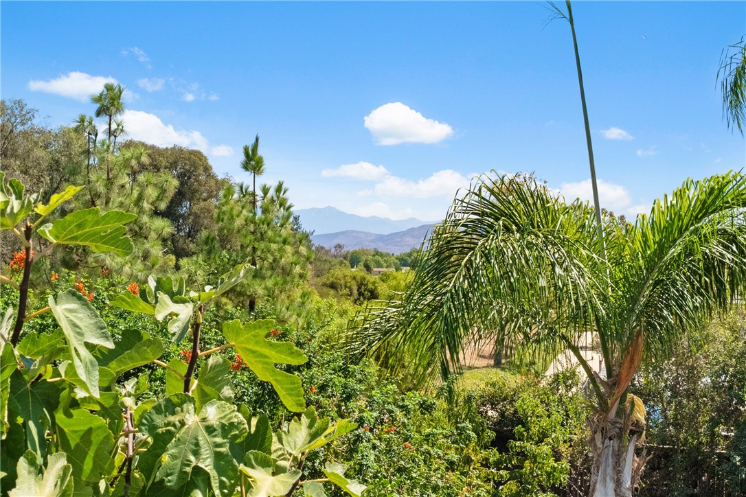 33562 Delphinium Lane Property Photo 49