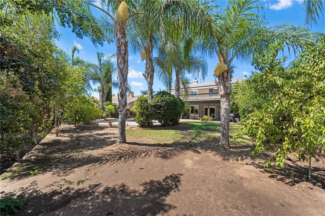 33562 Delphinium Lane Property Photo 60