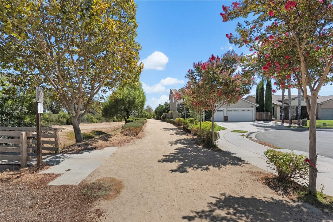 33562 Delphinium Lane Property Photo 74