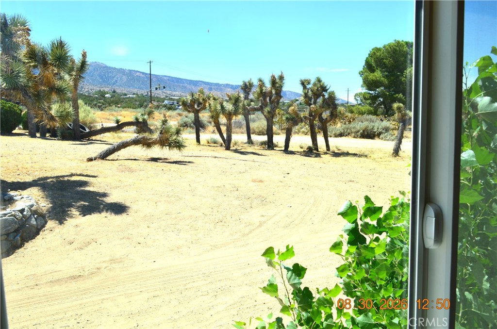3142 Hermosa Property Photo 34