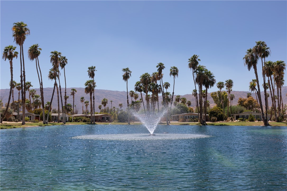 1010 Palm Canyon 58 Property Photo 4