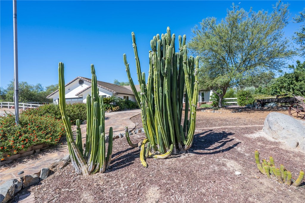 17720 Copper Queen Property Photo 10