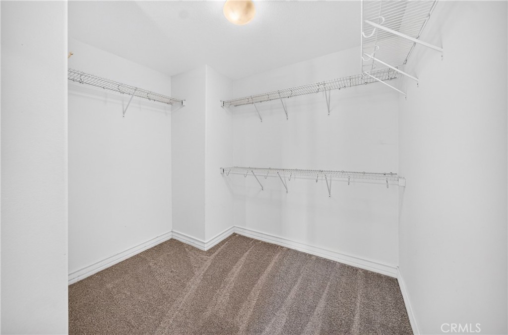 37183 Ascella Lane Property Photo 29
