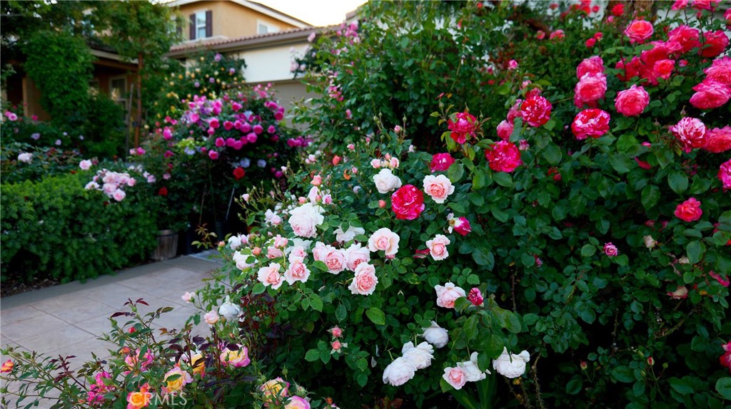 34298 Hourglass Property Photo 15