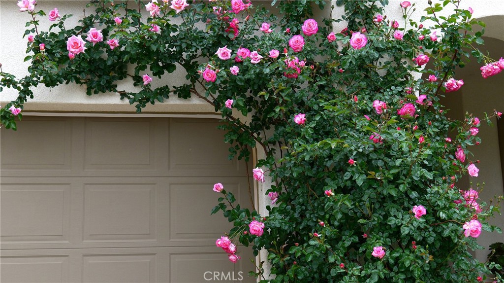 34298 Hourglass Property Photo 71