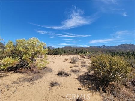 0 Tule Peak Property Photo 8