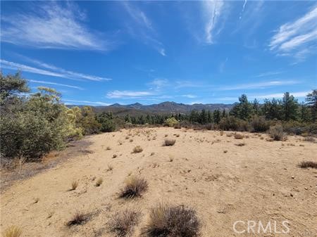 0 Tule Peak Property Photo 9