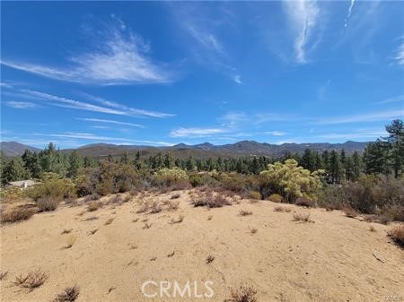 0 Tule Peak Property Photo 10