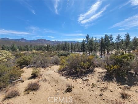 0 Tule Peak Property Photo 12