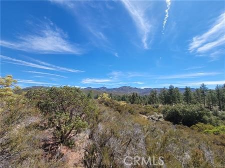0 Tule Peak Property Photo 13