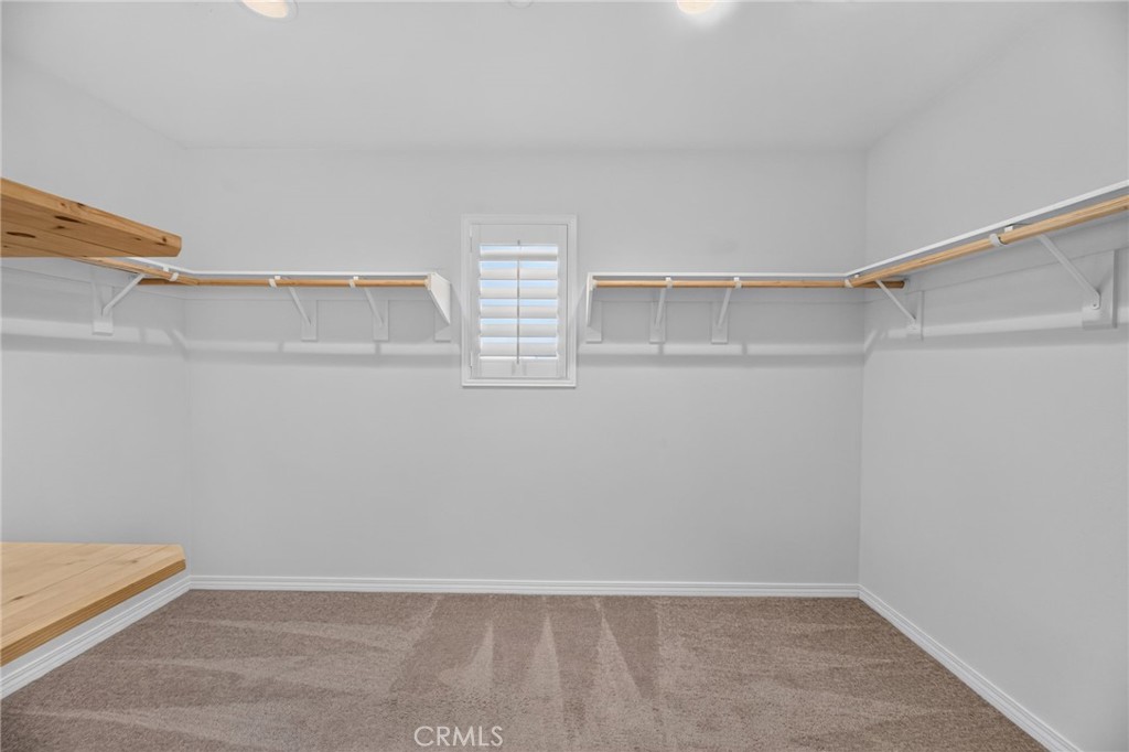 34136 Thistlewood Avenue Property Photo 44