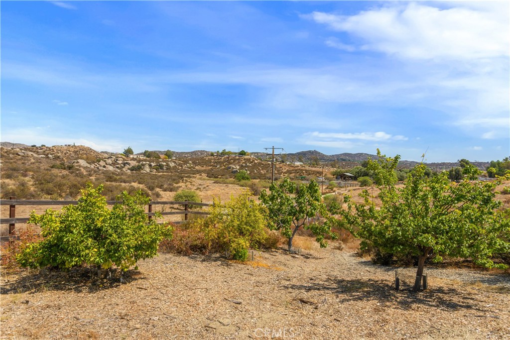22225 Purple Sage Property Photo 28