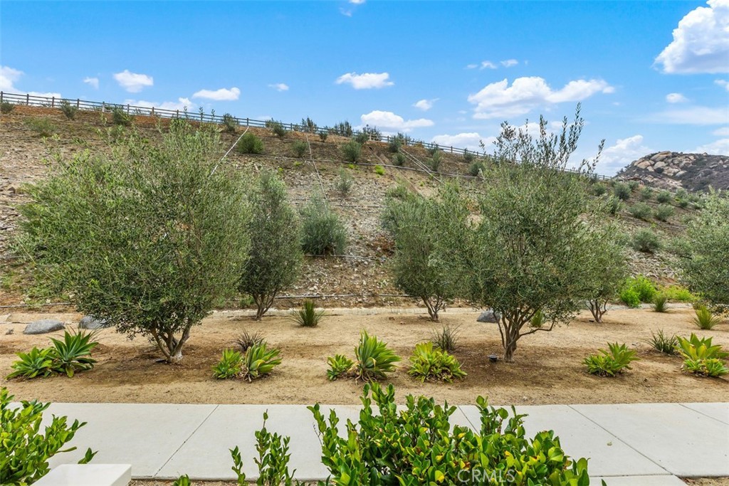 35111 Rangpur Lane Property Photo 6