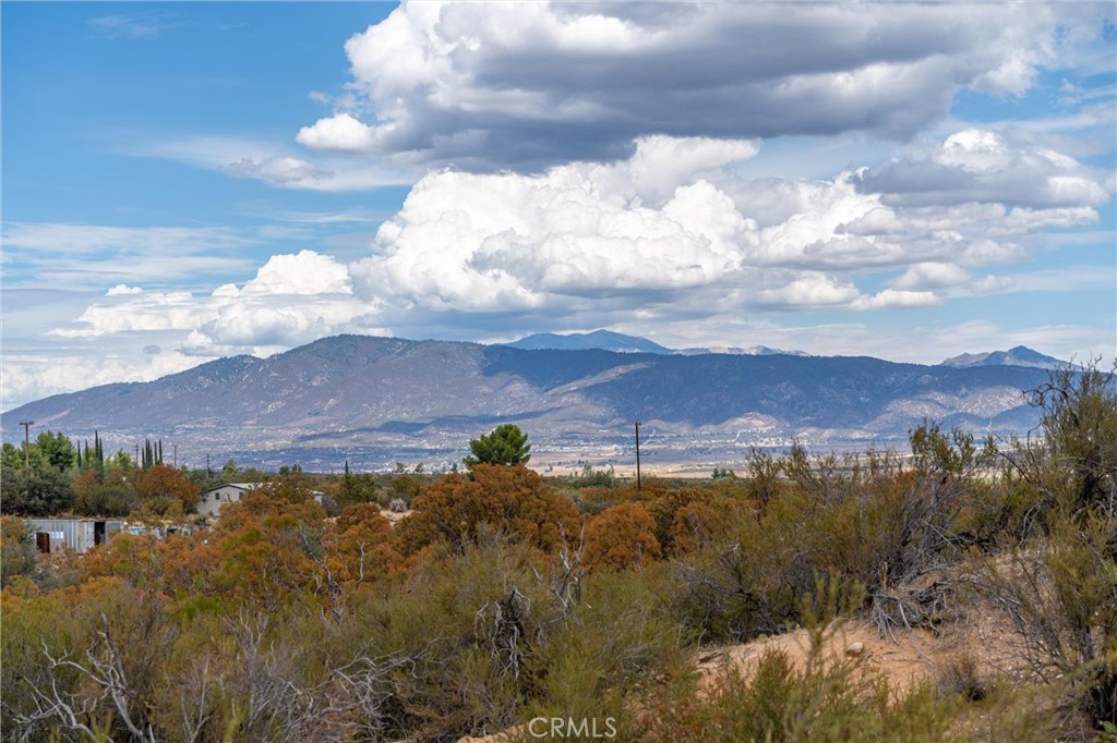 58175 Bliss Road Property Photo 42