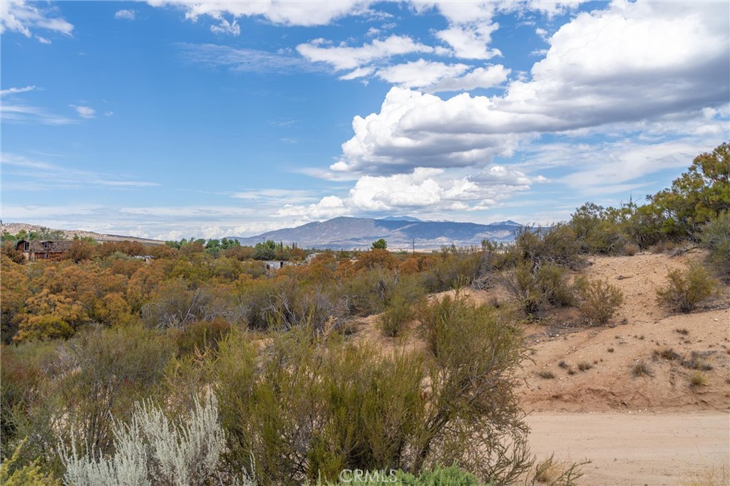 58175 Bliss Road Property Photo 43