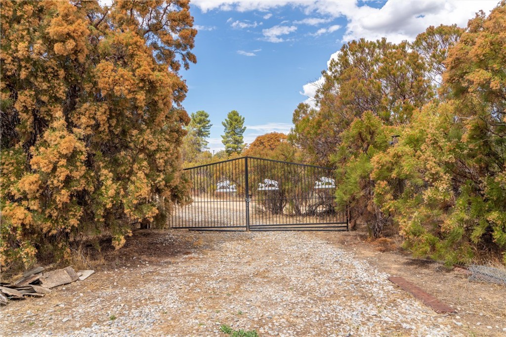 58175 Bliss Road Property Photo 49