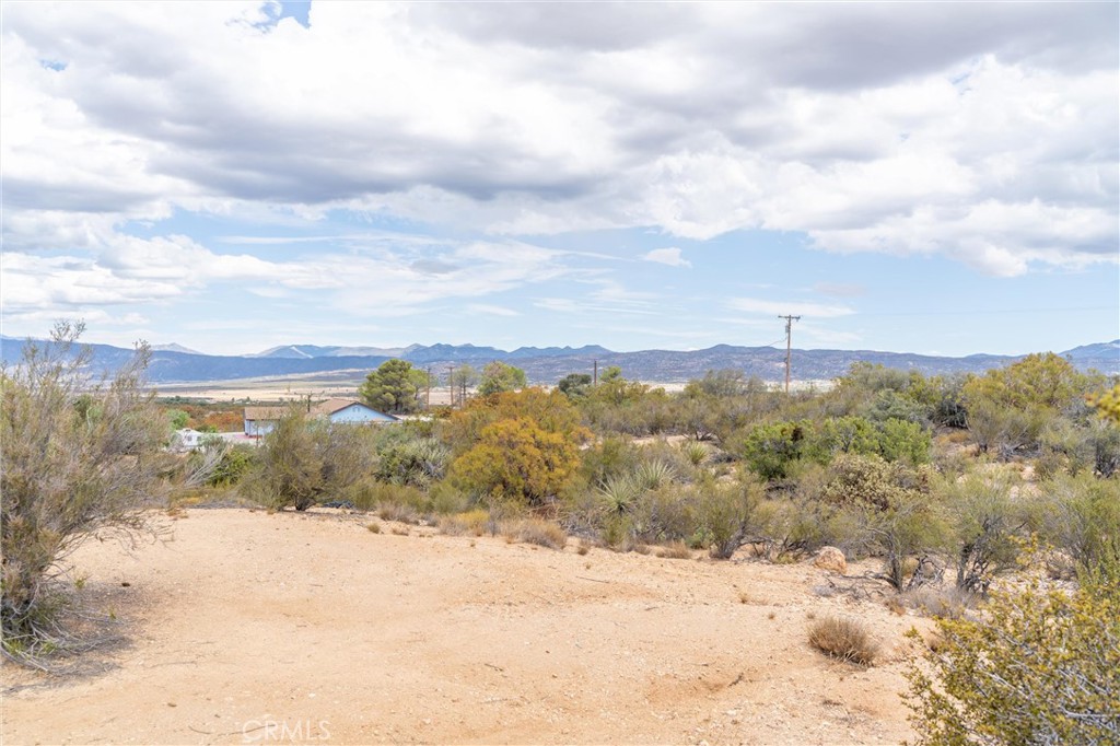 58175 Bliss Road Property Photo 58
