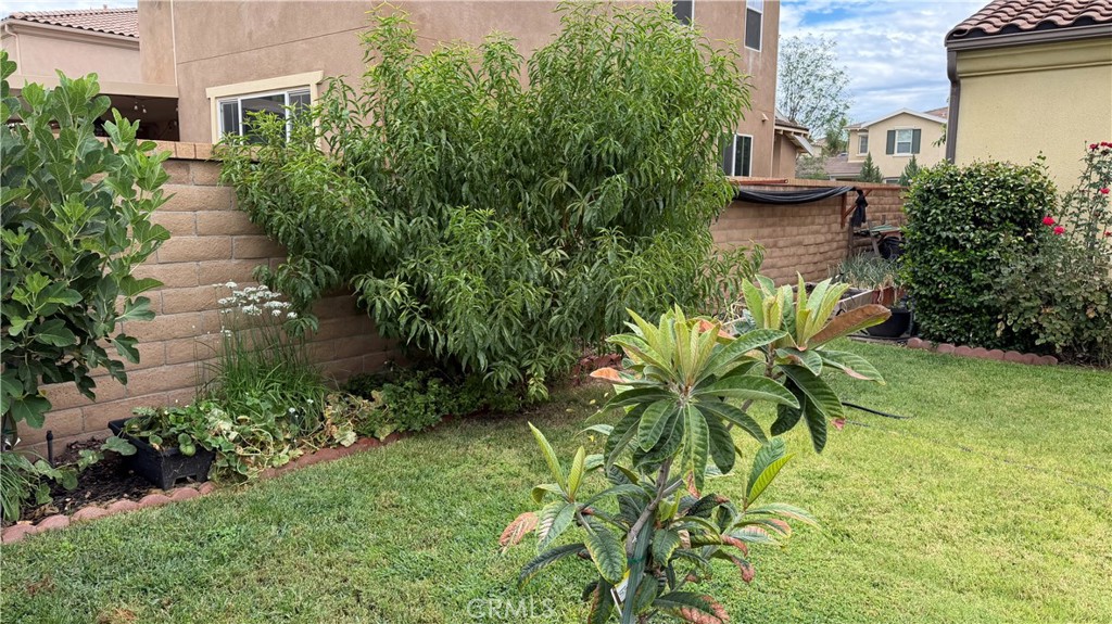 35081 Deer Spring Property Photo 21