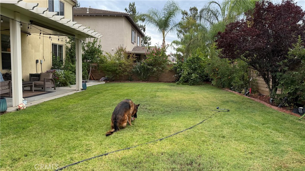 35081 Deer Spring Property Photo 26