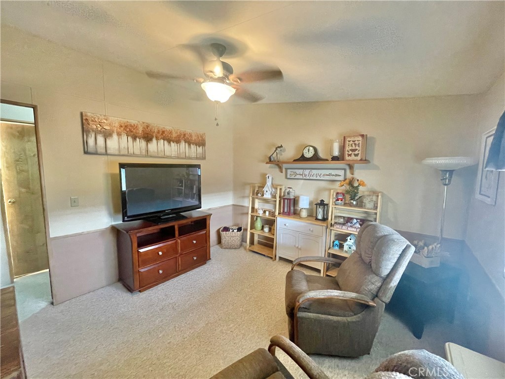 24600 Mountain 76 Property Photo 10