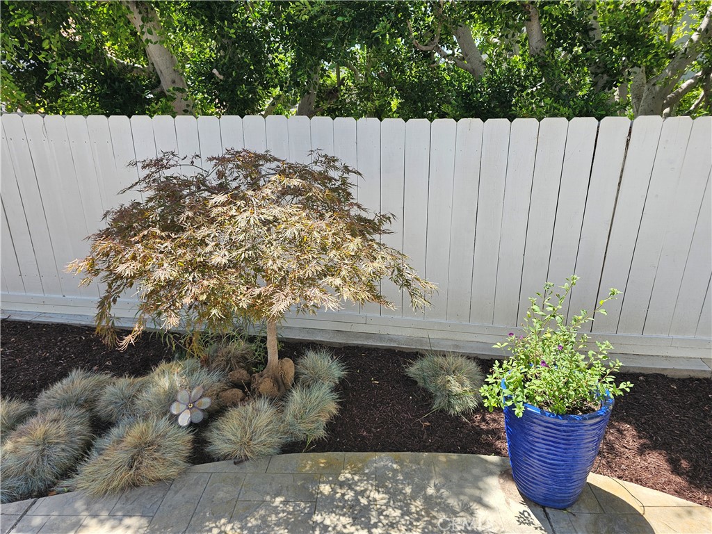 2825 Forest View Way Property Photo 22