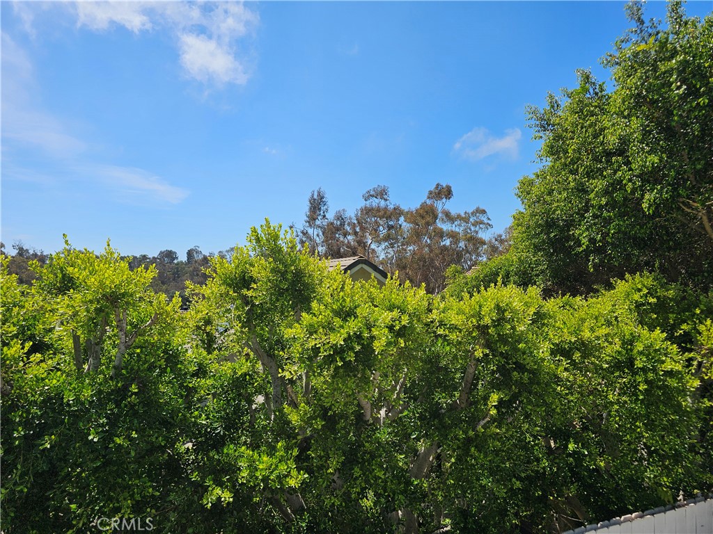 2825 Forest View Way Property Photo 39