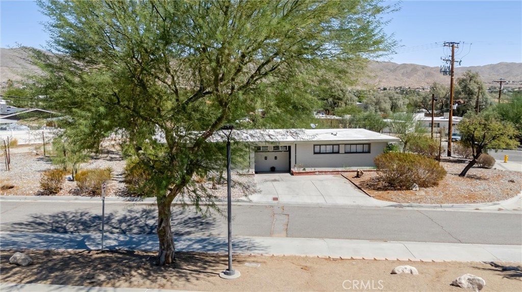 12909 Cactus Property Photo 5