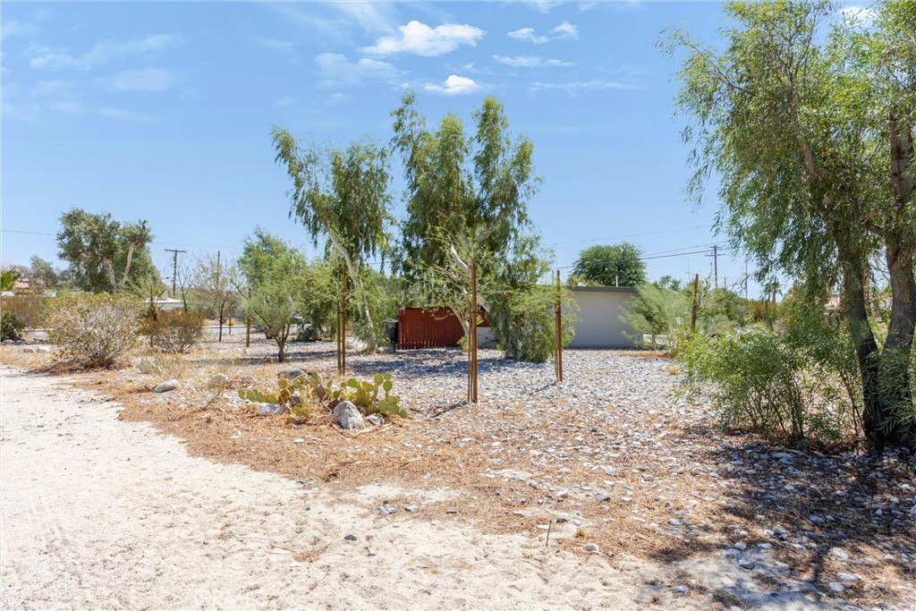 12909 Cactus Property Photo 25
