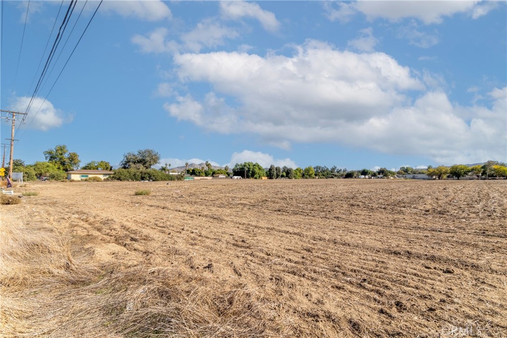 0 Palm Avenue Property Photo 10