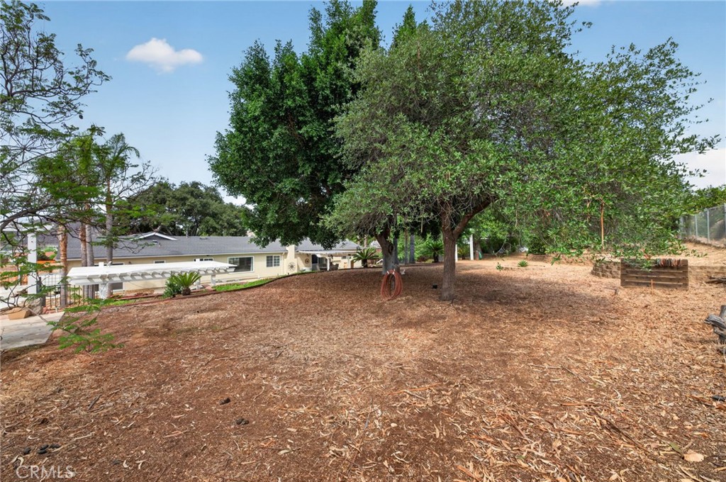 1805 Wind River Road Property Photo 43