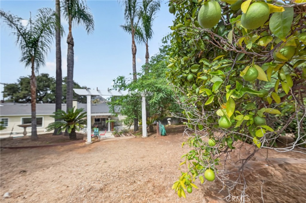 1805 Wind River Road Property Photo 46