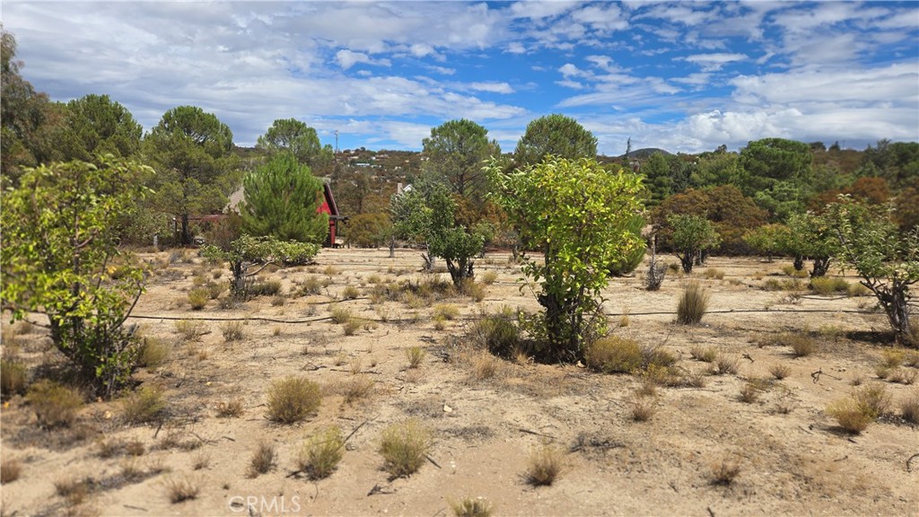 59441 Burnt Valley Road Property Photo 6
