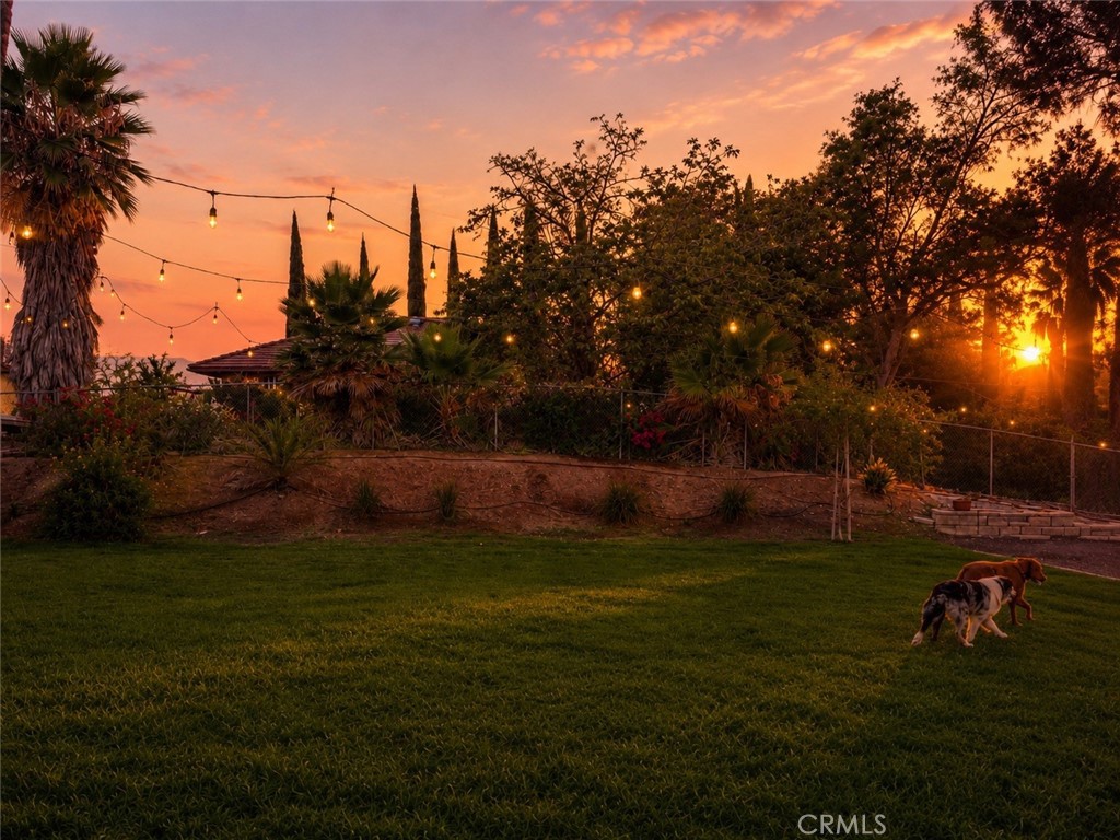 31383 Overcrest Property Photo 29